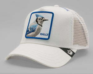 Rally Bird – - Main Image
